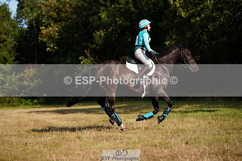 250803A-175950-18866 - S-869-Alice.Lamming-THE.DARK.HORSE.I