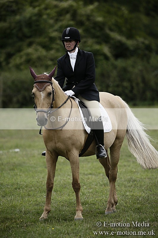 BVR080918 309 - BVRC Novice Dressage & CR 08/09/18