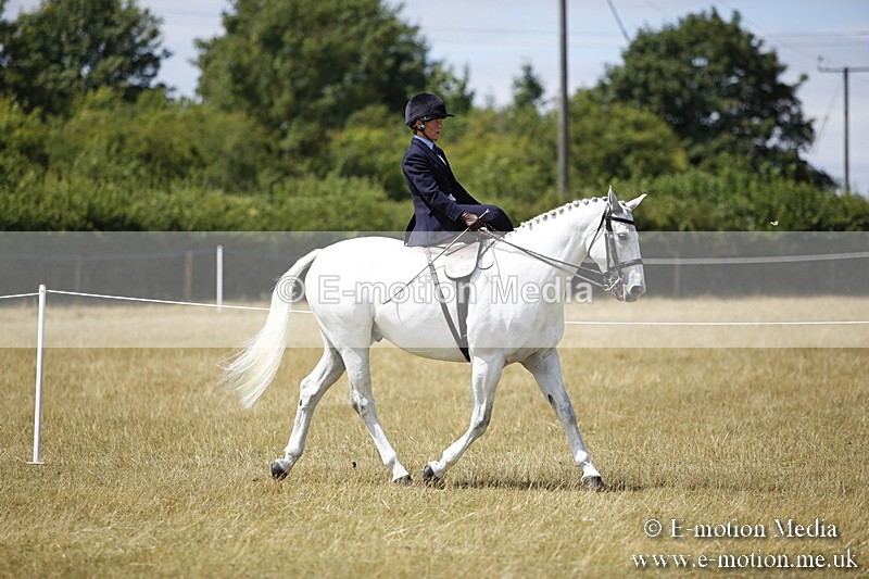 _C7A0208 - Side Saddle Classes BVRC Show 2018