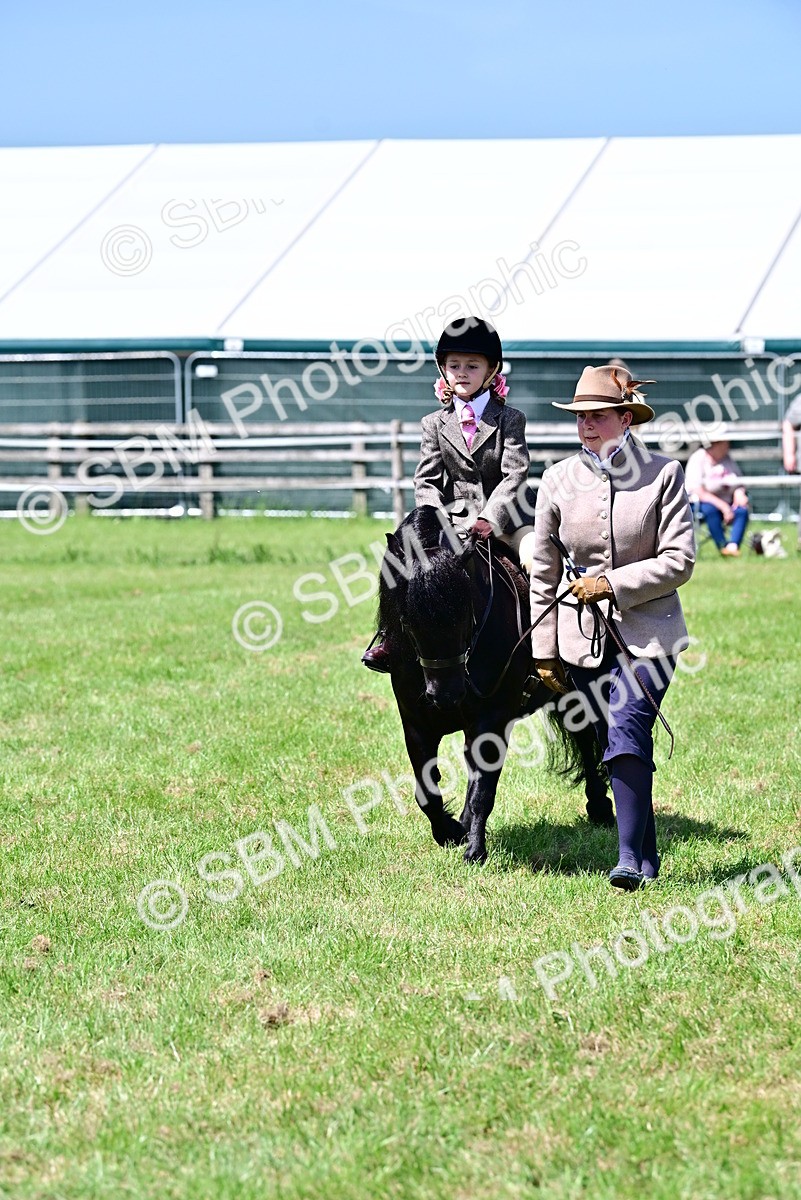 SBM_05862 - Class 59-60 - TSR M&M  Lear Rein and First Ridden Amateur of the year