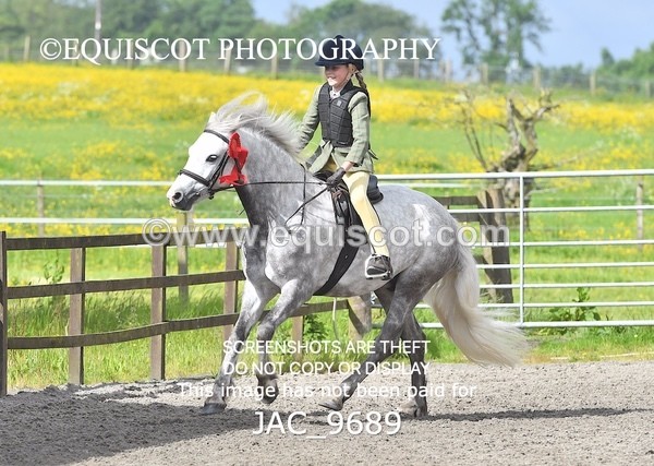 JAC_9689 - CLASS 1 Nursery Novice Working Hunter (0.50m)