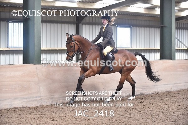 JAC_2418 - CLASS 3 Intermediate Working Hunter
