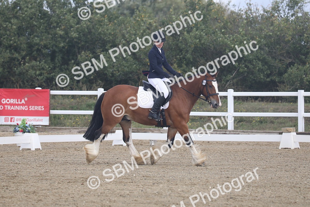 SBM_001742 - Class 5 - Prelim 3 - 10.38-11.24