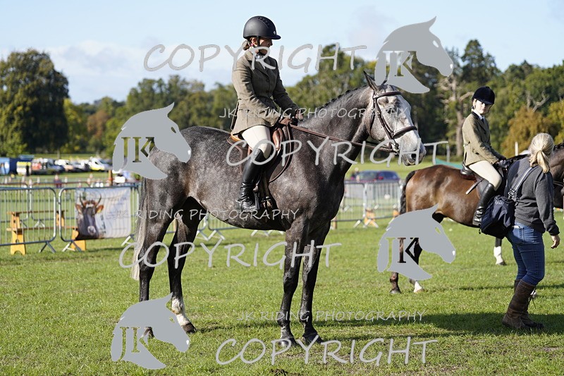 _DSC9546 - Class 8 & 17 Ridden Hunter & Ridden Hunter Pony