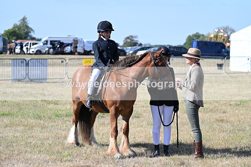 WJ7_2973 - Class 8 Ridden Tack & Turnout