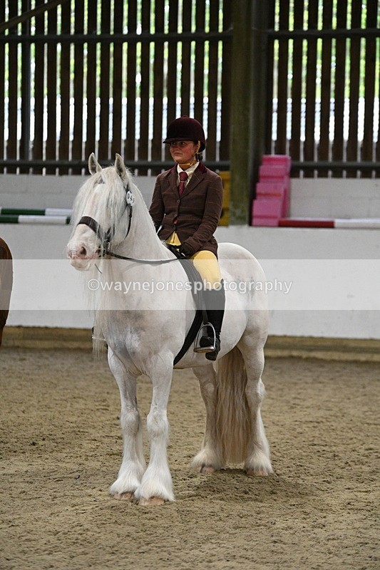 WJ7_3968 - Class 17 Ridden Cob
