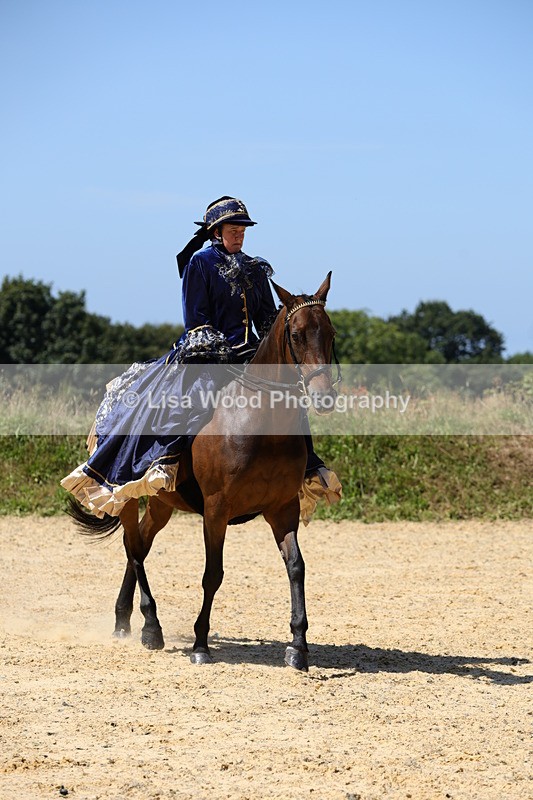 1X9A9014 - Class 24: Ridden Concours D'Elegance