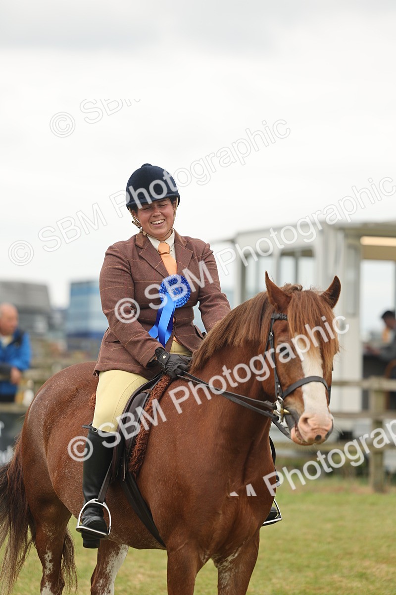 SBM_07269 - Class 76-77 - Ridden M&M Welsh Ponies
