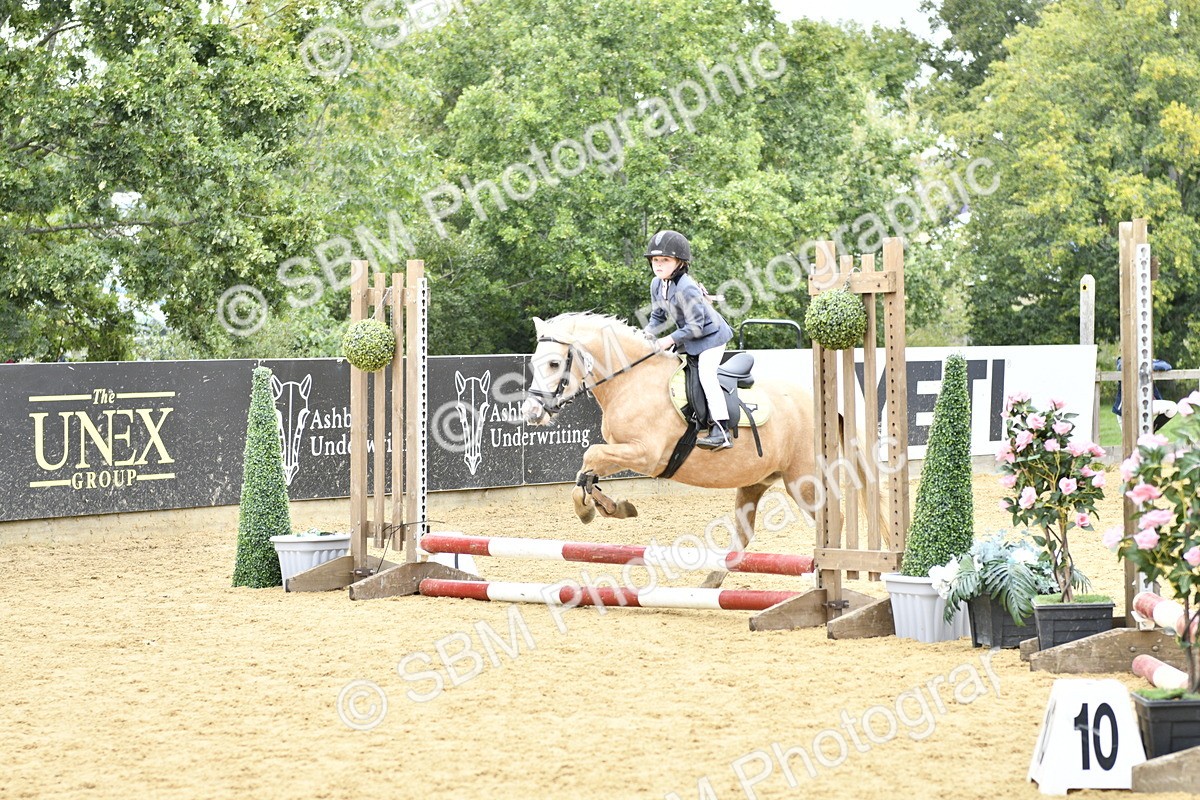 SBM_65390 - J2a mini Tour Junior Pony 30cm Championship