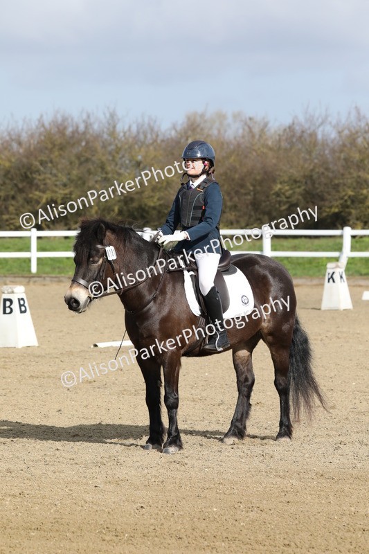 20260314-0235 - DR1 - Intro 1