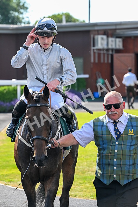 080726-Race 6-Velvet Rhythm-7869 - Race 6 16.30pm Racing Again 15th July Fillies' Handicap