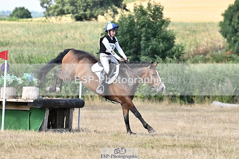 250824A-144832-38611 - 2147-George.Walford-meadow.sweet.conker