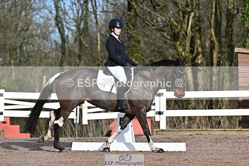 250125-104926-00246 - Dressage - CT Class 4 BE95 (80cm)