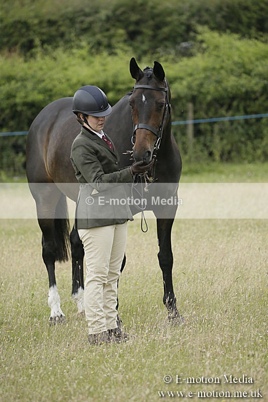 B230619-0273 - Bourne Valley Riding Club Summer Show 23/06/19
