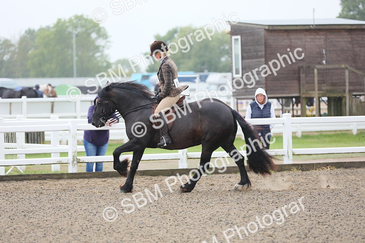 SBM_19886 - Class 801 - Ridden Veteran