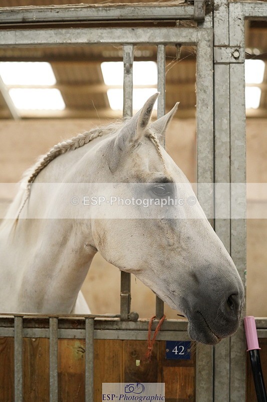 240809A-134512-01000 - Stable Shots