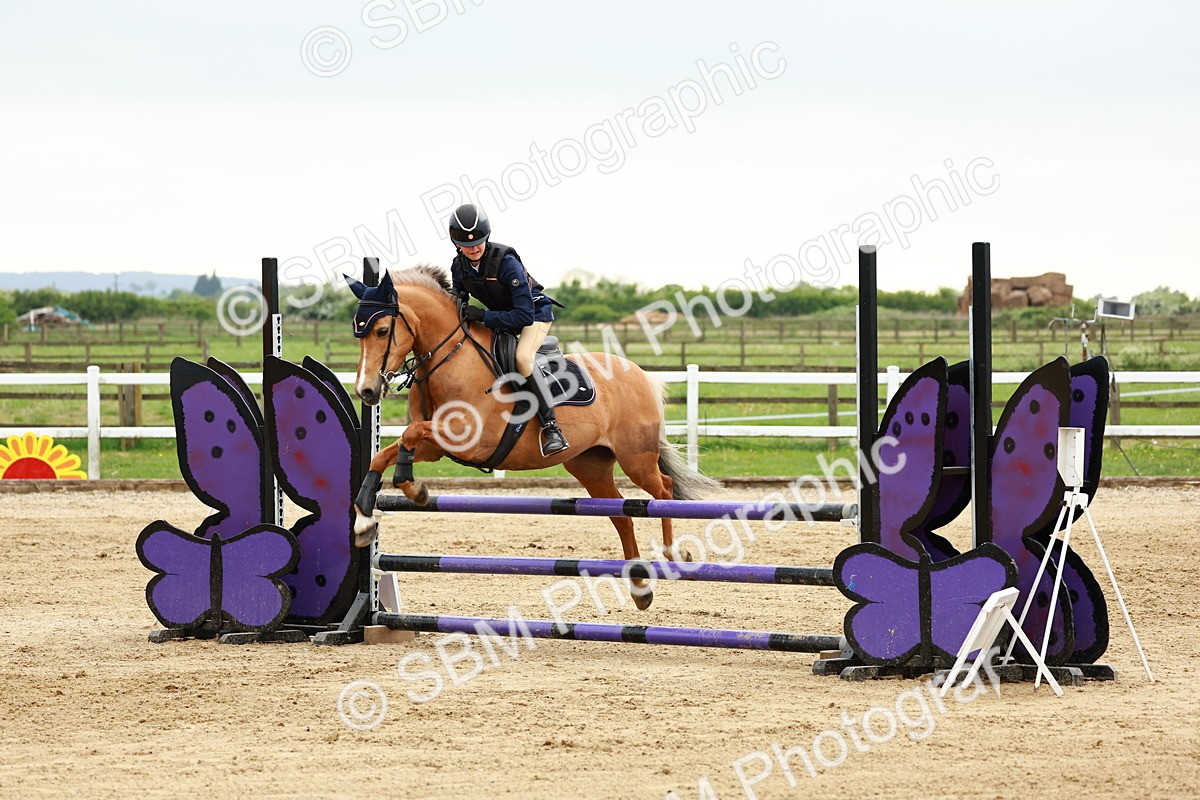 SBM_009116 - Class 5 - 80cm