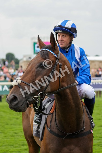 yr20082021r4-31 - Race 4 3.35pm Coolmore Wootton Bassett Nunthorpe Stakes (British Champions Series Race)