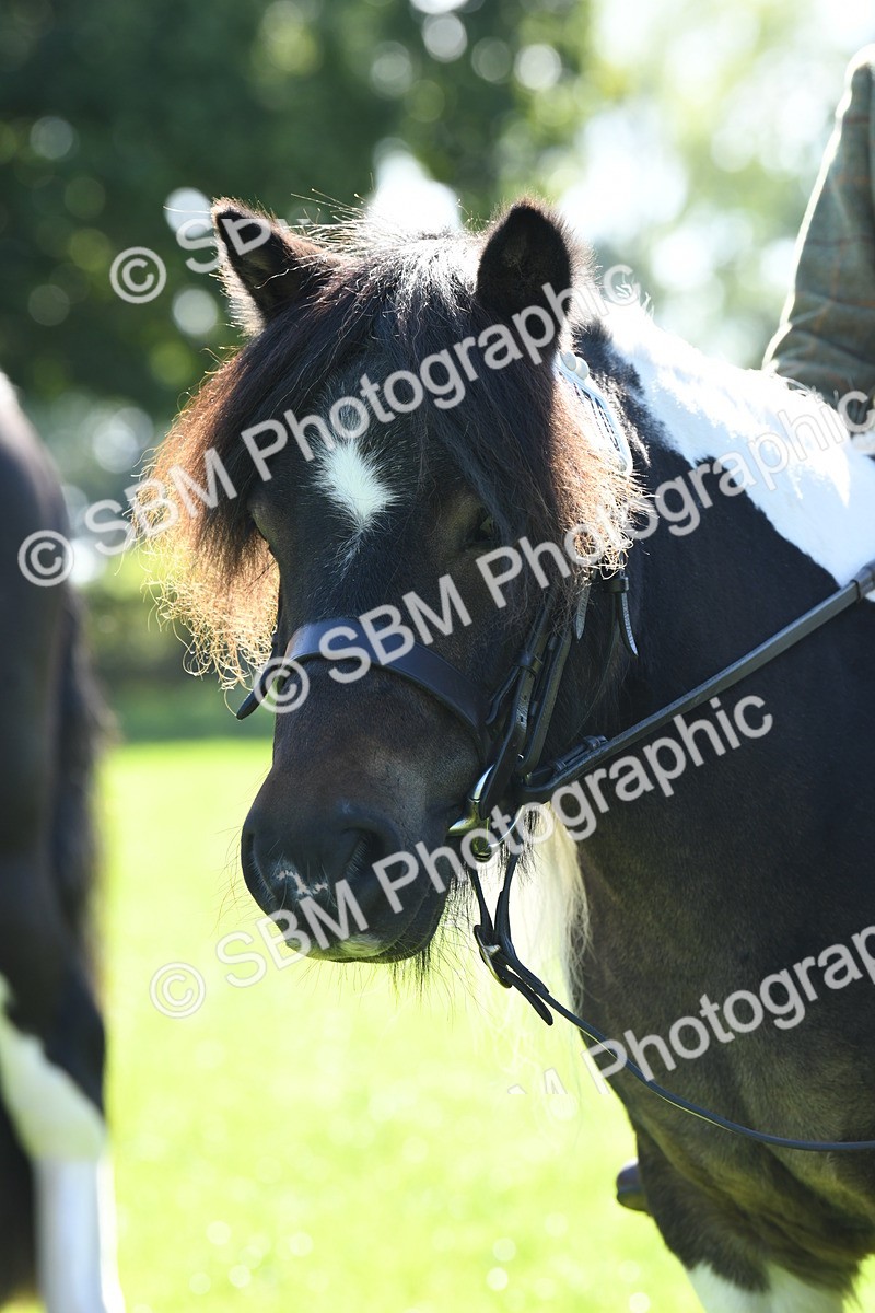 SBM_39632 - S18 - Novice & Newcomers Lead Rein Pony
