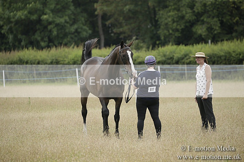 B230619-0293 - Bourne Valley Riding Club Summer Show 23/06/19
