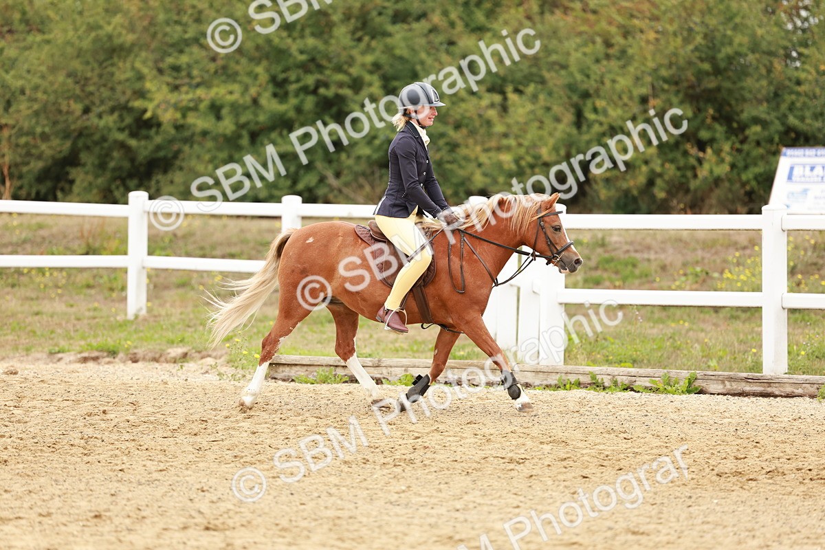 SBM_007475 - Class 2 - 50cm