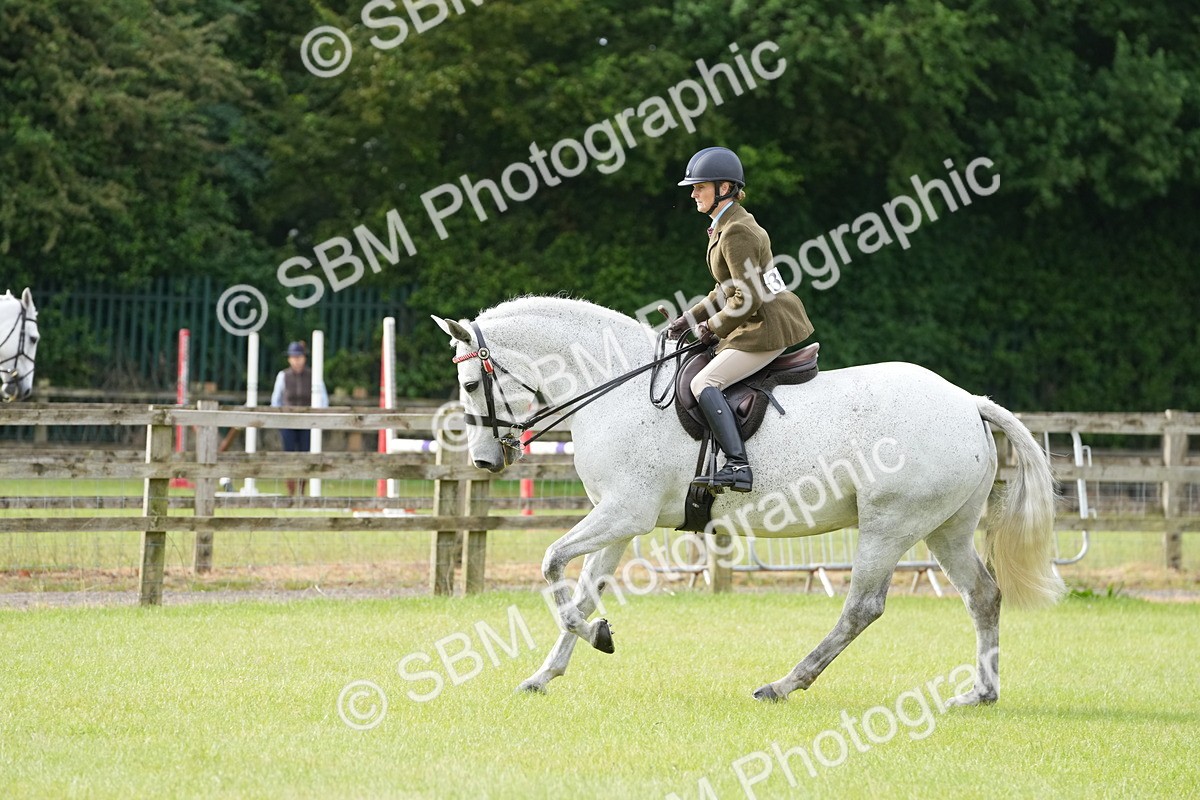 SBM_10599 - Class 97-98 - LIHS BSHA Rising Star Working Show Horse Hunter