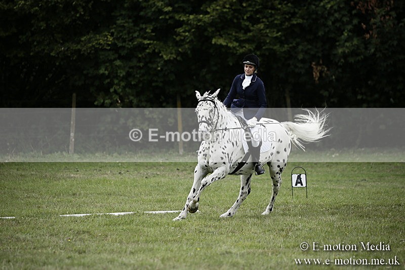 BVR080918 282 - BVRC Novice Dressage & CR 08/09/18