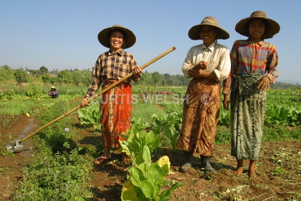  - MYANMAR
