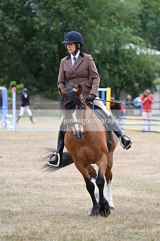 WJ7_0533 - Class 6 Ridden Mountain and Moorland