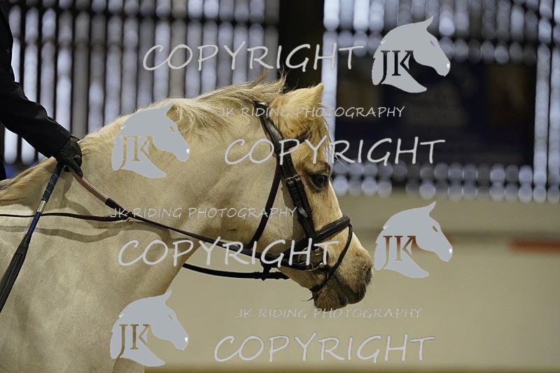 _DSC2276 - Class 1 c.p