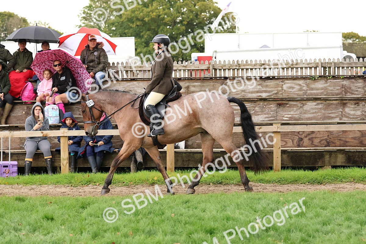 SBM_45010 - S27 - Young Veteran Ridden