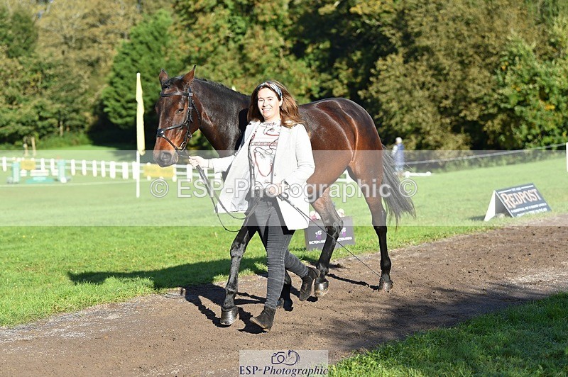 231022-101130-22295 - 503-JAGUAR.MAID-Isobel.Lole-TrotUp+SJ