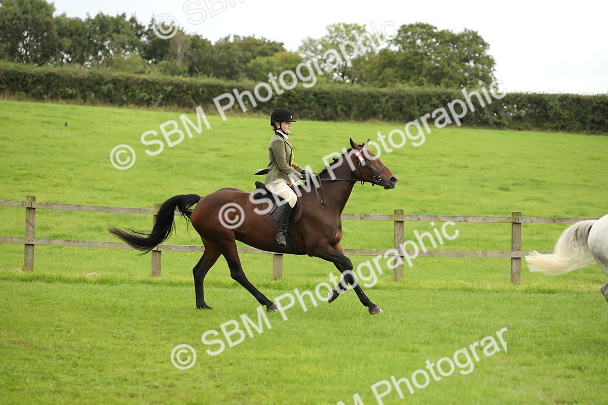 SBM_73878 - S41 - Ridden Equitation (Best Rider)