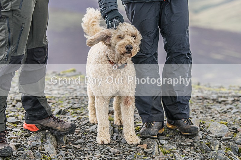 Old Crown Round-86 - The Old Crown Round Fell Race Saturday 6th September 2025