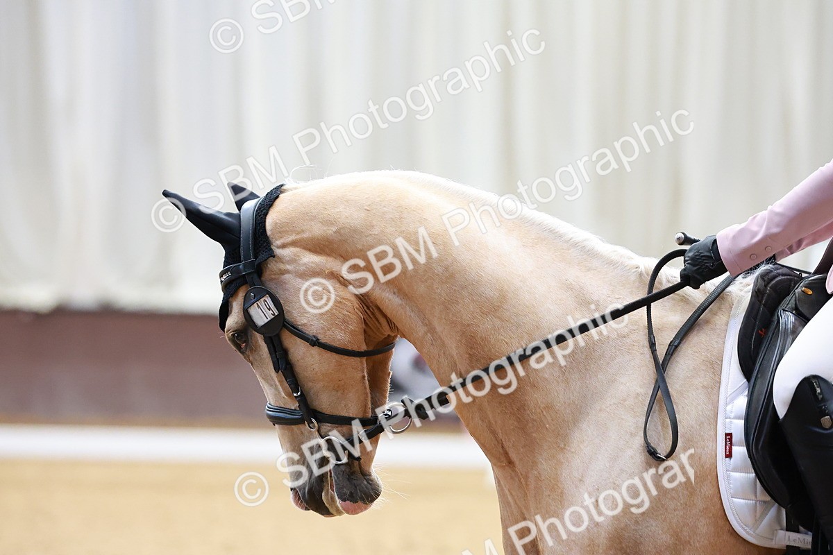 SBM_007718 - Class 3-6 - MQ U21 Intro 2-Open P1