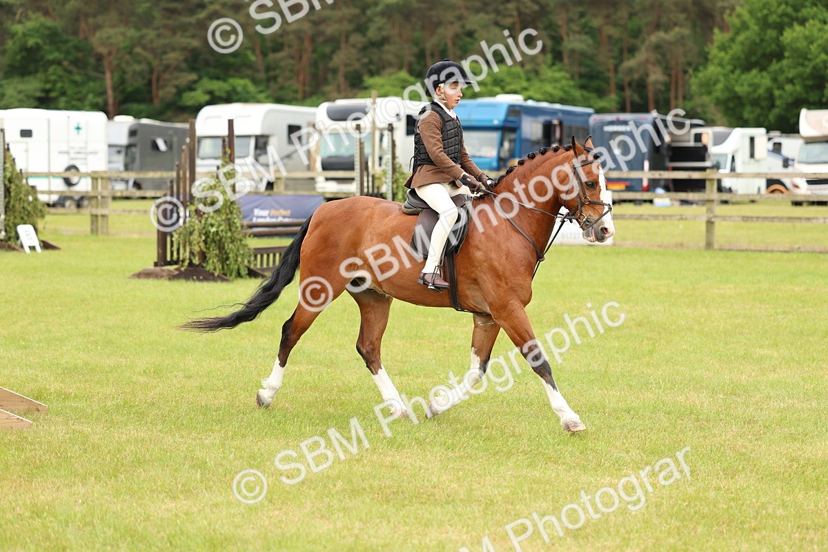 SBM_10222 - Class 44-45 - LIHS BSPS Open Nursery and Cradle Stakes