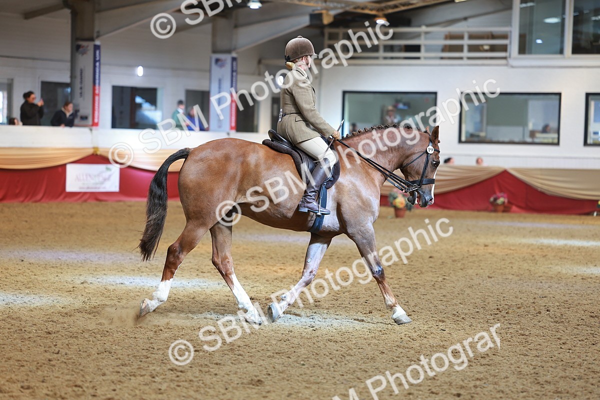 SBM_10629 - Class 103 - HOYS Veteran Qualifier - Ridden Pre Vet