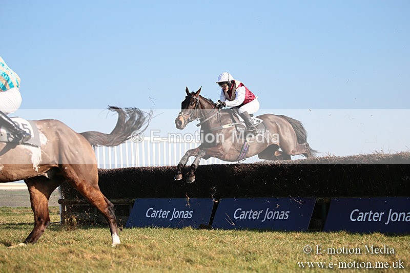 PtP 230219 447 - Vine & Craven Point-To-Point - Barbury 23/02/19