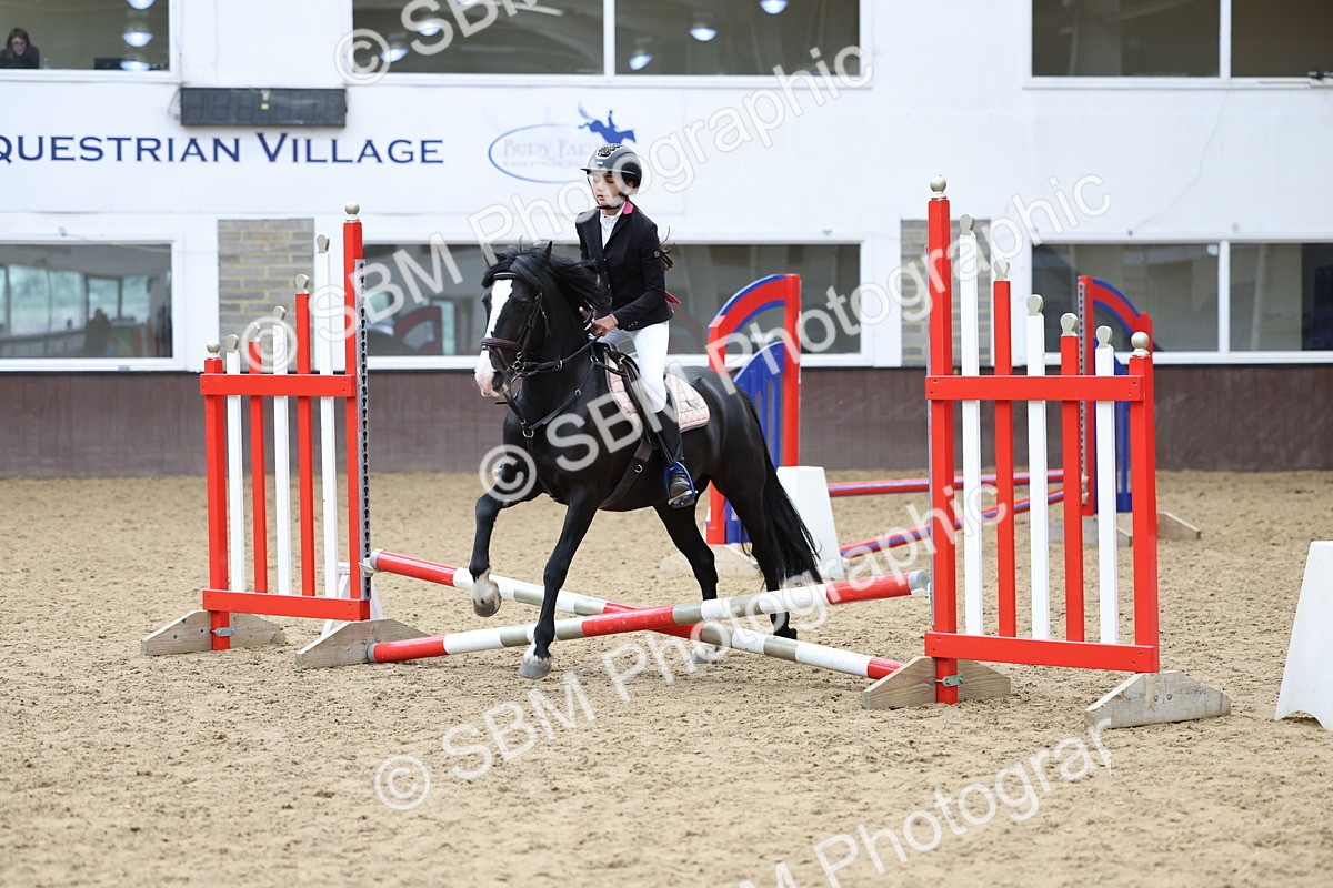 SBM_007694 - Class 3 - 60cm showjumping