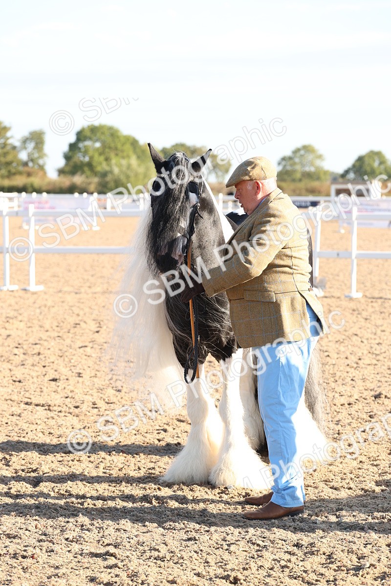 SBM_10770 - Class 201 - Best Turned Out - IH