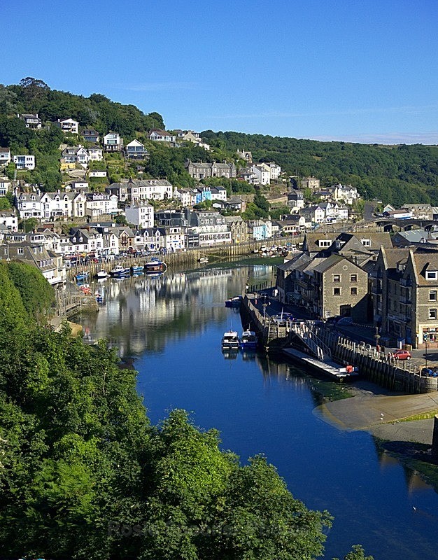 11 Peaceful early morning on the River Looe - Portrait Views