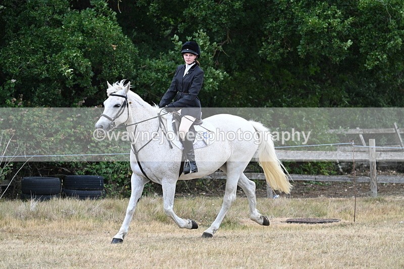 WJ7_0935 - Class 7 Riding Club Show Horse