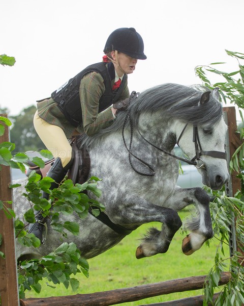 Dunblane show-276 - Dunblane and Doune Show Ring 1