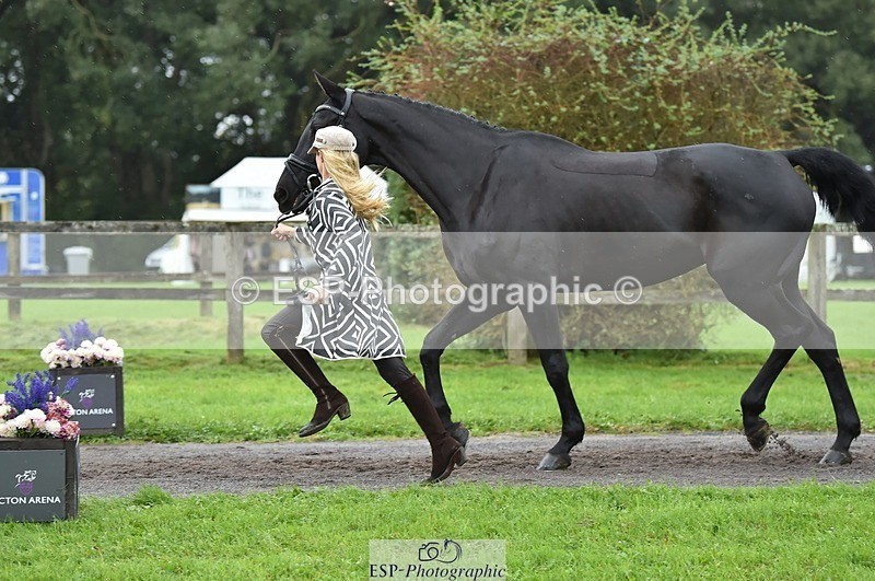 231018-124308-00474 - 056-WILLOW.BDA-Lisa.Maynard-TrotUp