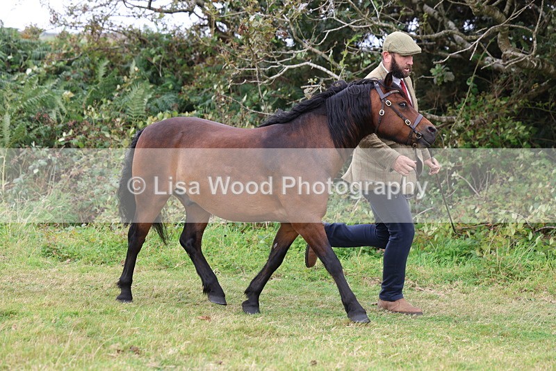 3E7A4588 - Class 16: Best Grass Kept