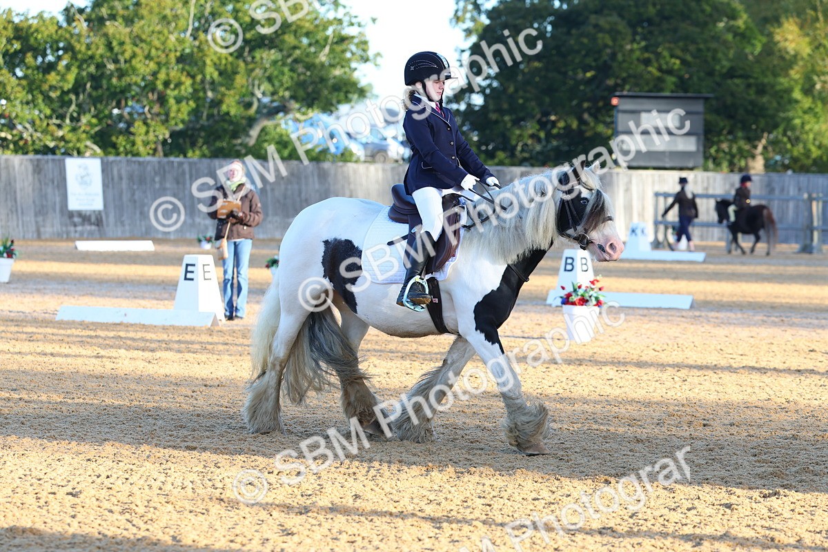 SBM_33412 - D26 - Test Starter Test 1