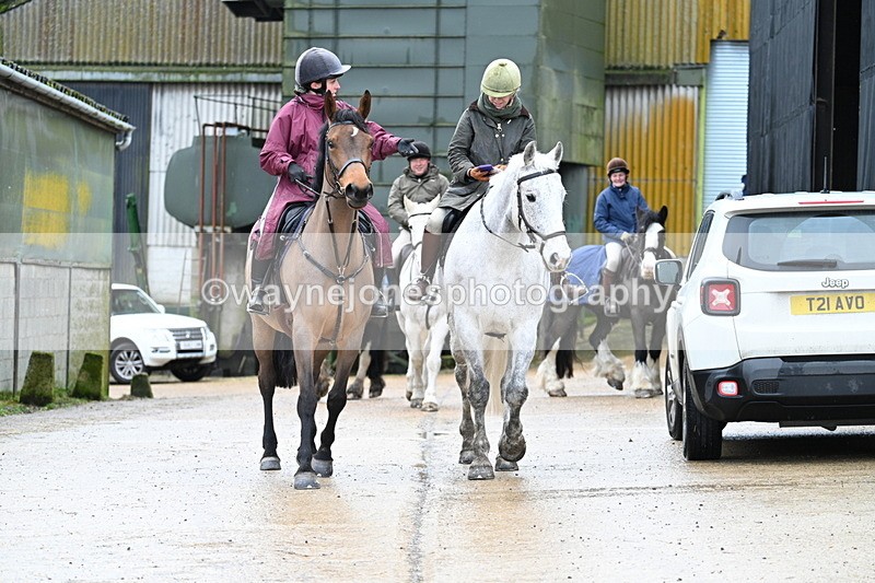 WJ7_8769 - Berks & Bucks - Rowles Farm 15-02-26