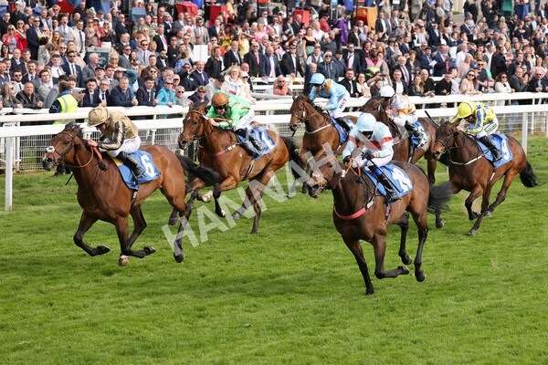 yr13052022r6-27 - Race 6 4.45pm Yorkshire Equine Practice Stakes