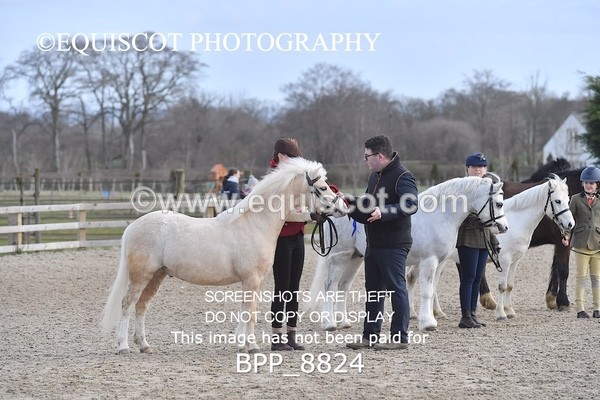 BPP_8824 - RING 2 - M&M