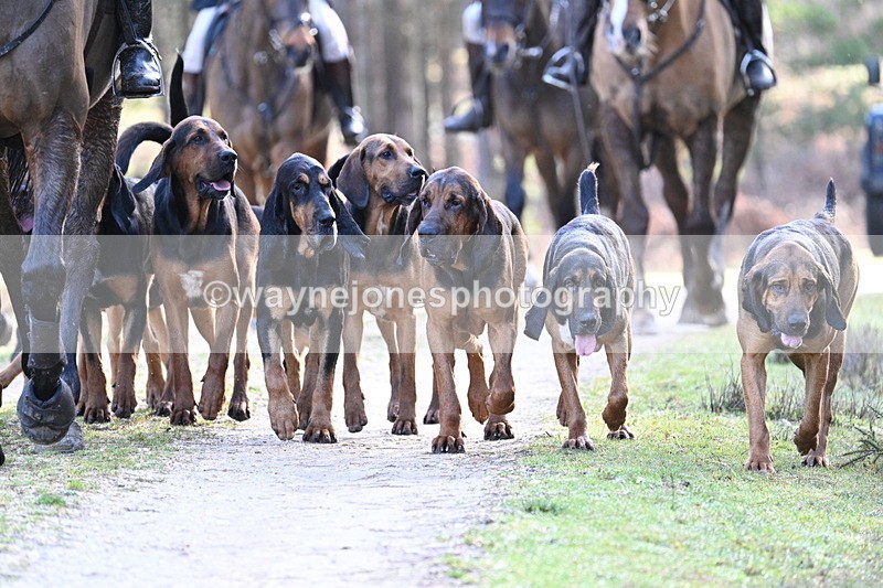 WJ7_7688 - Line 3 (no line 4 or 5)